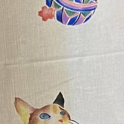 郭鈴音 講師