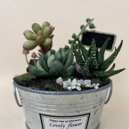 課程圖片 3